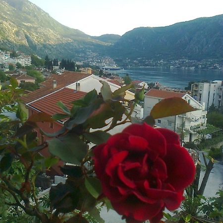 Apartment Aki Kotor Bagian luar foto