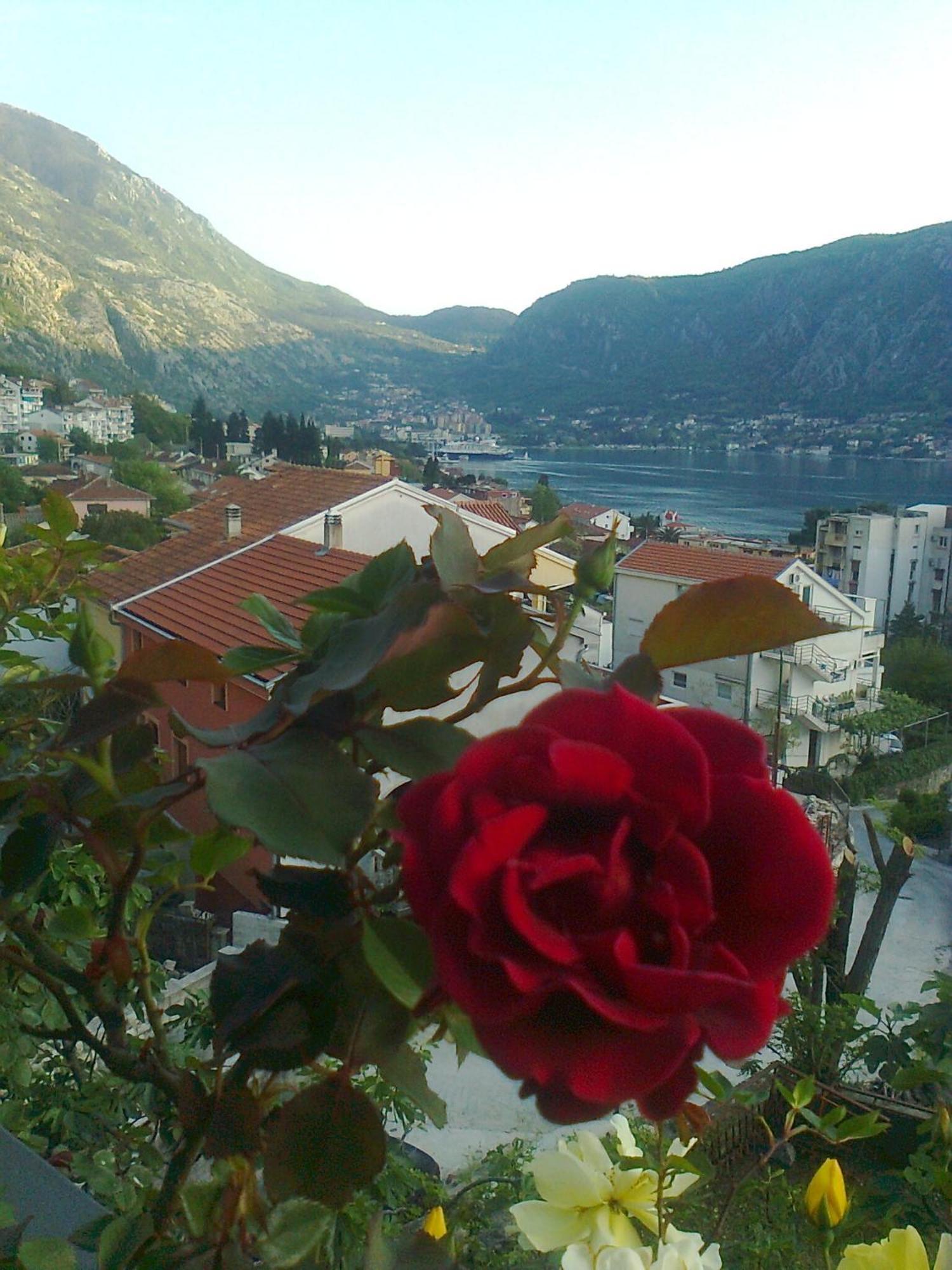 Apartment Aki Kotor Bagian luar foto